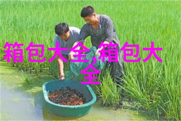 lv水波纹小贝壳包是多少欧元