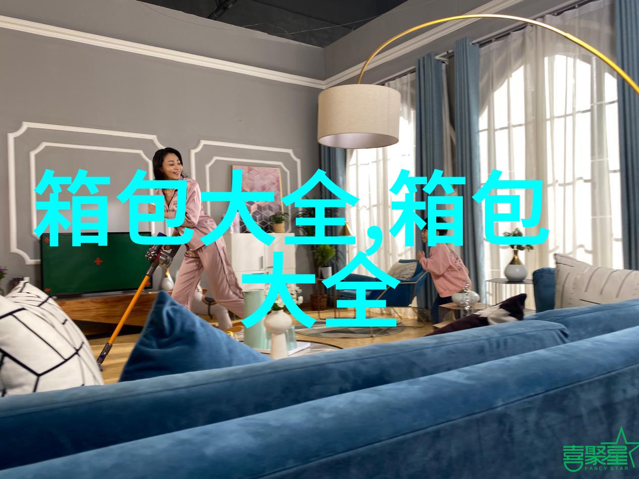 网络连接e(就是提示网络连接已连)但是网页