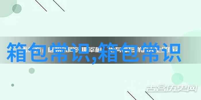 大专里要背什么包双肩书包可以吗