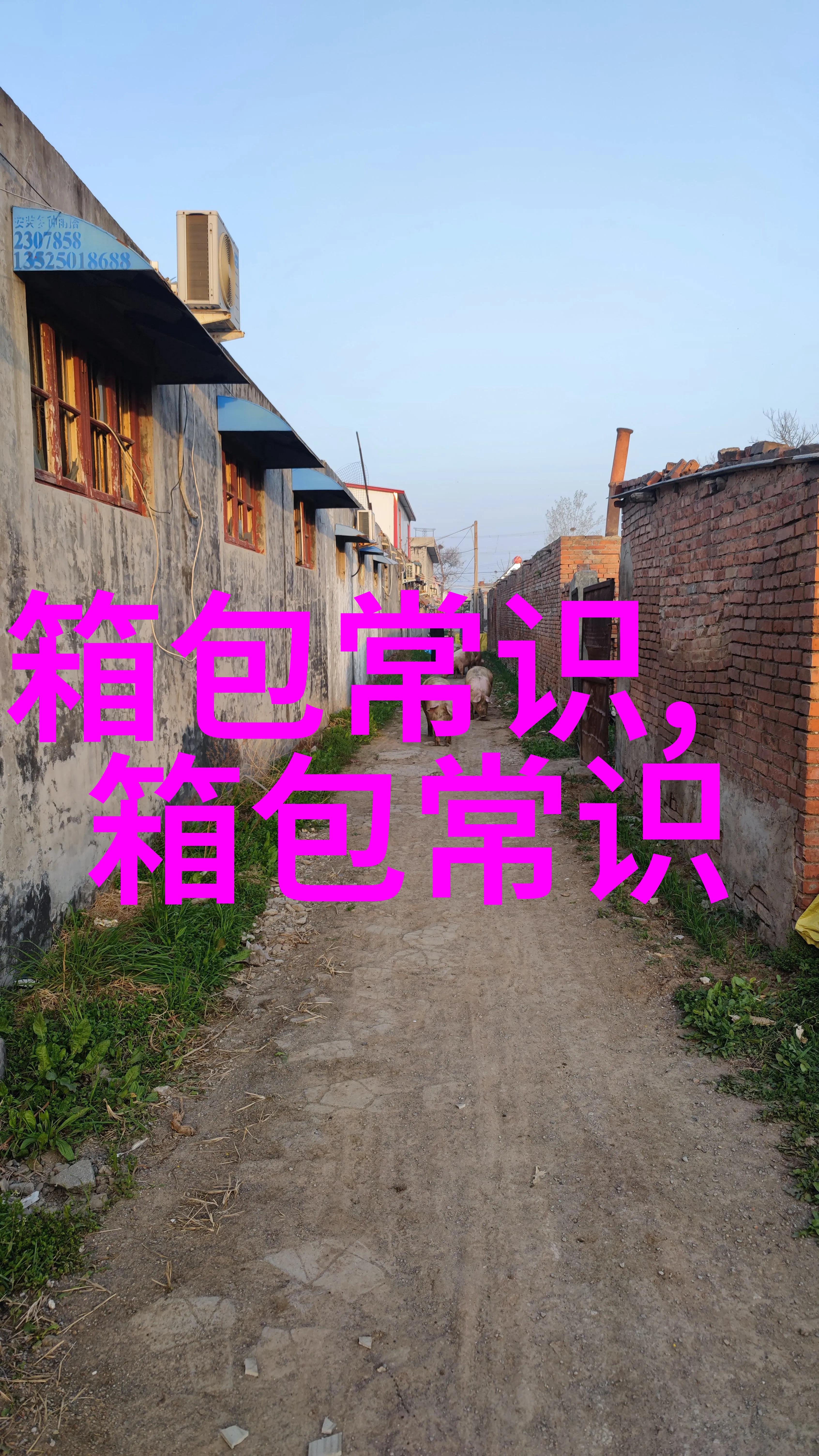 怎么把大表情包变成小表情包